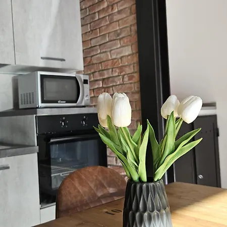 Apartment Loft Industrial