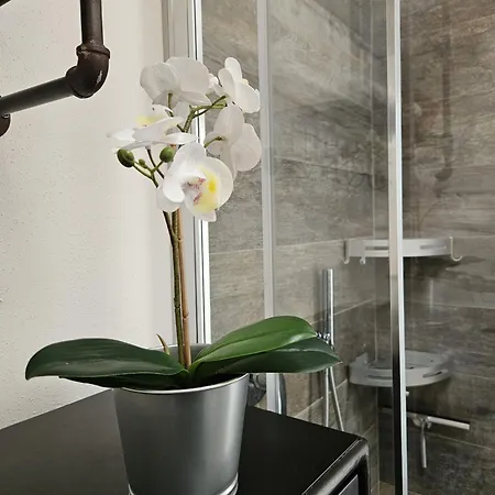 Loft Industrial Lecco