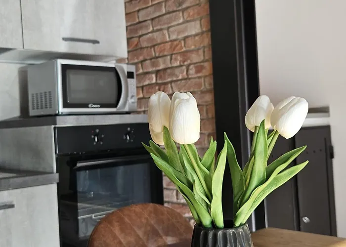 Lägenhet Loft Industrial